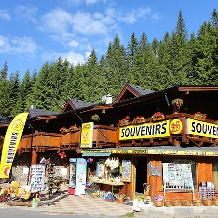 Jasna Veverica ديمانوفْشكا دولِنا